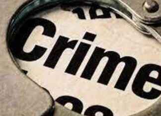 Independent Candidate in Navi Mumbai Booked for Attempted Murder in Maharashtra Polls news-21112024-124337