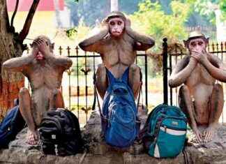 Exploring Mumbai: Thursday Highlights and Events news-28112024-045542