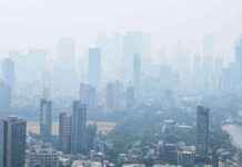 Mumbai Records Coldest Day in 8 Years with Temperature at 16.5°C news-29112024-232416