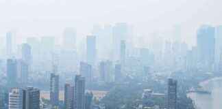 Mumbai Records Coldest Day in 8 Years with Temperature at 16.5°C news-29112024-232416