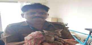 Rescue of Cat Stuck on 15th-Floor Balcony in Manpada, Thane by Disaster Management Cell news-30112024-172941