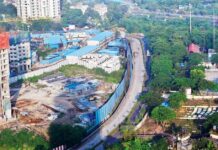 analyzing-dharavi-redevelopments-environmental-mpact-on-salt-pans
