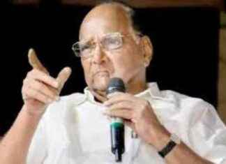 Maharashtra Election Results: MVA Supporters Unfazed by Mahayuti’s Victory maharashtra-election-results-mva-supporters-unfazed-by-mahayutis-victory