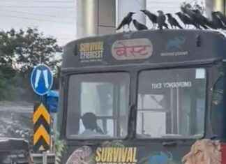 Wet Lease Bus Drivers Strike: Delayed Salaries Prompt Flash Protest wet-lease-bus-drivers-strike-delayed-salaries-prompt-flash-protest