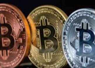 CBI Seizes ₹23.94 Cr Crypto in GainBitcoin Fraud cb-seizes-2394-cr-crypto-in-gainbitcoin-fraud