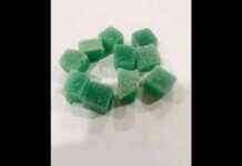 NCB Seizes ₹200 Cr Cocaine in International Syndicate Bust ncb-seizes-200-cr-cocaine-in-nternational-syndicate-bust