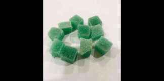 NCB Seizes ₹200 Cr Cocaine in International Syndicate Bust ncb-seizes-200-cr-cocaine-in-nternational-syndicate-bust