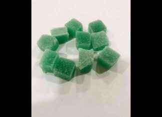 NCB Seizes ₹200 Cr Cocaine in International Syndicate Bust ncb-seizes-200-cr-cocaine-in-nternational-syndicate-bust