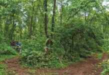 Shekhar Rajeshirke leads ‘Environment on Forts’ session in Online Open Environment School shekhar-rajeshirke-leads-environment-on-forts-session-in-online-open-environment-school