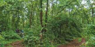 Shekhar Rajeshirke leads ‘Environment on Forts’ session in Online Open Environment School shekhar-rajeshirke-leads-environment-on-forts-session-in-online-open-environment-school