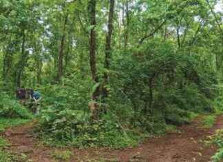 Shekhar Rajeshirke leads ‘Environment on Forts’ session in Online Open Environment School shekhar-rajeshirke-leads-environment-on-forts-session-in-online-open-environment-school