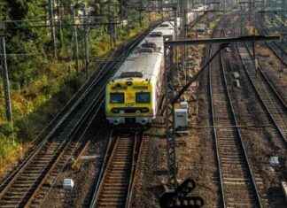 Signal Glitch Disrupts Mumbai Central Railway Services signal-glitch-disrupts-mumbai-central-railway-services