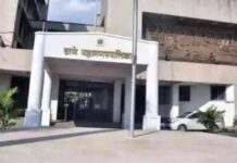 zonal-democracy-day-tmc-announces-event-submissions-due-march-3