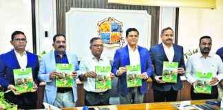 TMC Budget Focus: Road Repairs & Public Transport Boost tmc-budget-focus-road-repairs-public-transport-boost