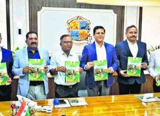 TMC Budget Focus: Road Repairs & Public Transport Boost tmc-budget-focus-road-repairs-public-transport-boost