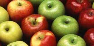 Apple Import Suspension by Fruit Traders in Maharashtra’s Vashi apple-mport-suspension-by-fruit-traders-in-maharashtras-vashi