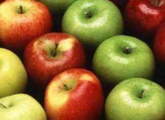 Apple Import Suspension by Fruit Traders in Maharashtra’s Vashi apple-mport-suspension-by-fruit-traders-in-maharashtras-vashi