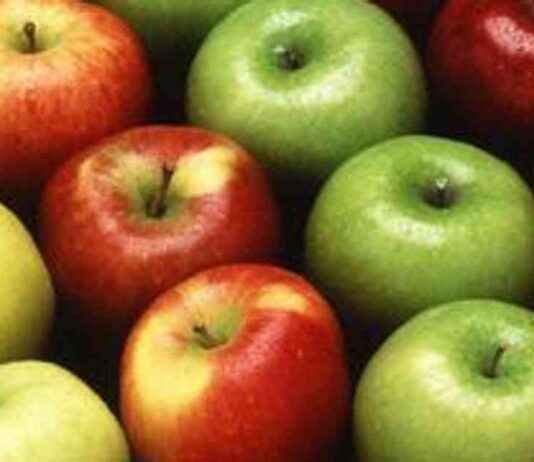 Apple Import Suspension by Fruit Traders in Maharashtra’s Vashi apple-mport-suspension-by-fruit-traders-in-maharashtras-vashi