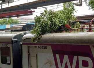 Heavy Mumbai Rains Disrupt Western Railway Services: Mumbai Local Train Updates heavy-mumbai-rains-disrupt-western-railway-services-mumbai-local-train-updates