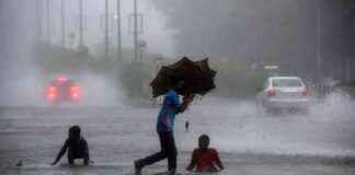 IMD Forecast: Heavy Rainfall Expected in Maharashtra from May 19-25 md-forecast-heavy-rainfall-expected-in-maharashtra-from-may-19-25
