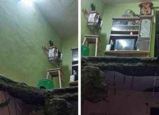 Nalasopara Building Slab Collapse: Mother-Son Rescued in Mumbai Evacuation nalasopara-building-slab-collapse-mother-son-rescued-in-mumbai-evacuation